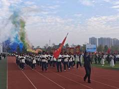 be6dcfc5af0bc9498d022fa924a676d0